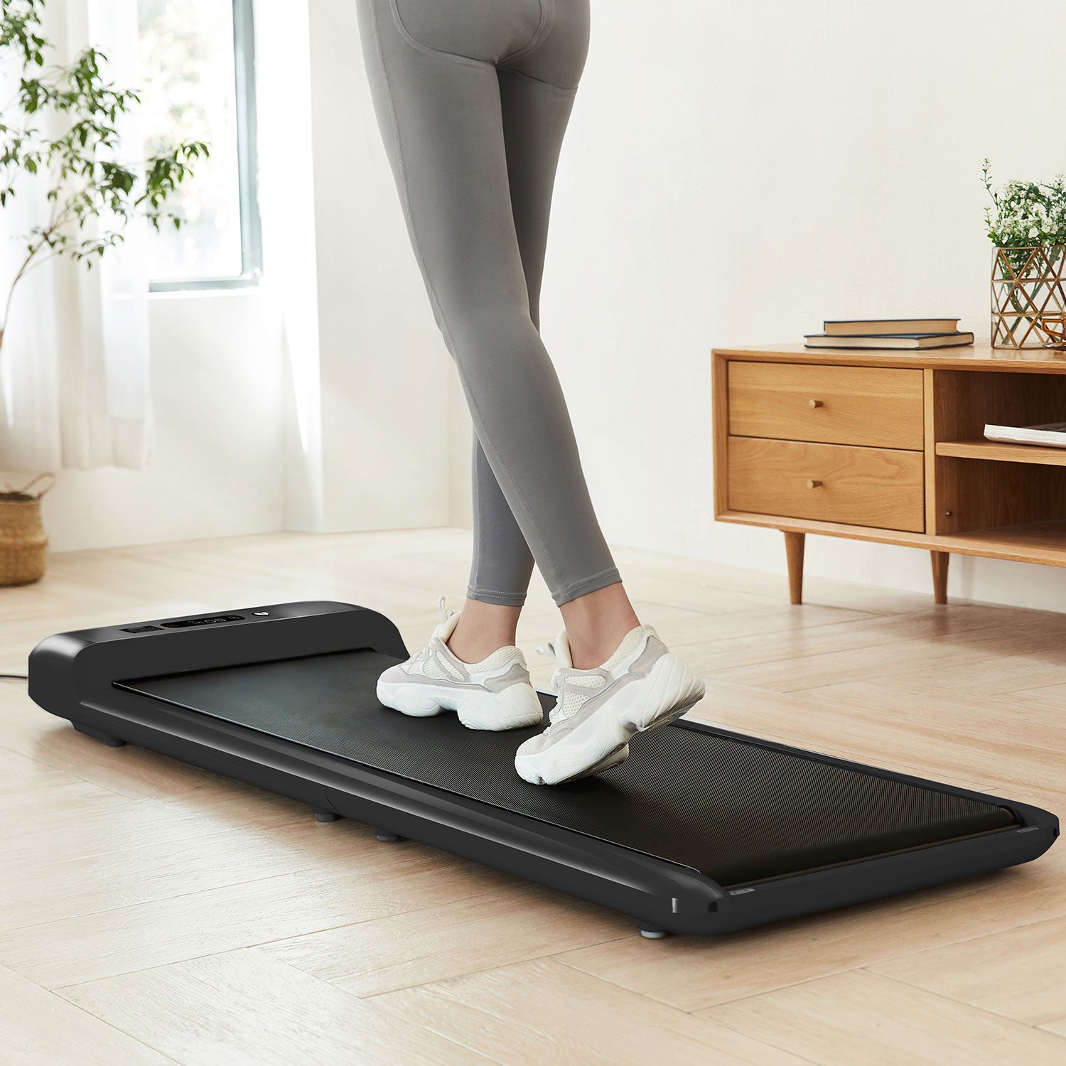 Lifespan Fitness WalkingPad - M2 Treadmill-Walking Pad-PEROZ Accessories