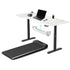 Lifespan Fitness WalkingPad M2 Treadmill with ErgoDesk Automatic White Standing Desk 1800mm + Cable Management Tray-Walking Pad-PEROZ Accessories