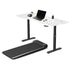 Lifespan Fitness Walkingpad M2 Treadmill with Dual Motor Automatic Standing Desk 180cm in White/Black-Walking Pad-PEROZ Accessories
