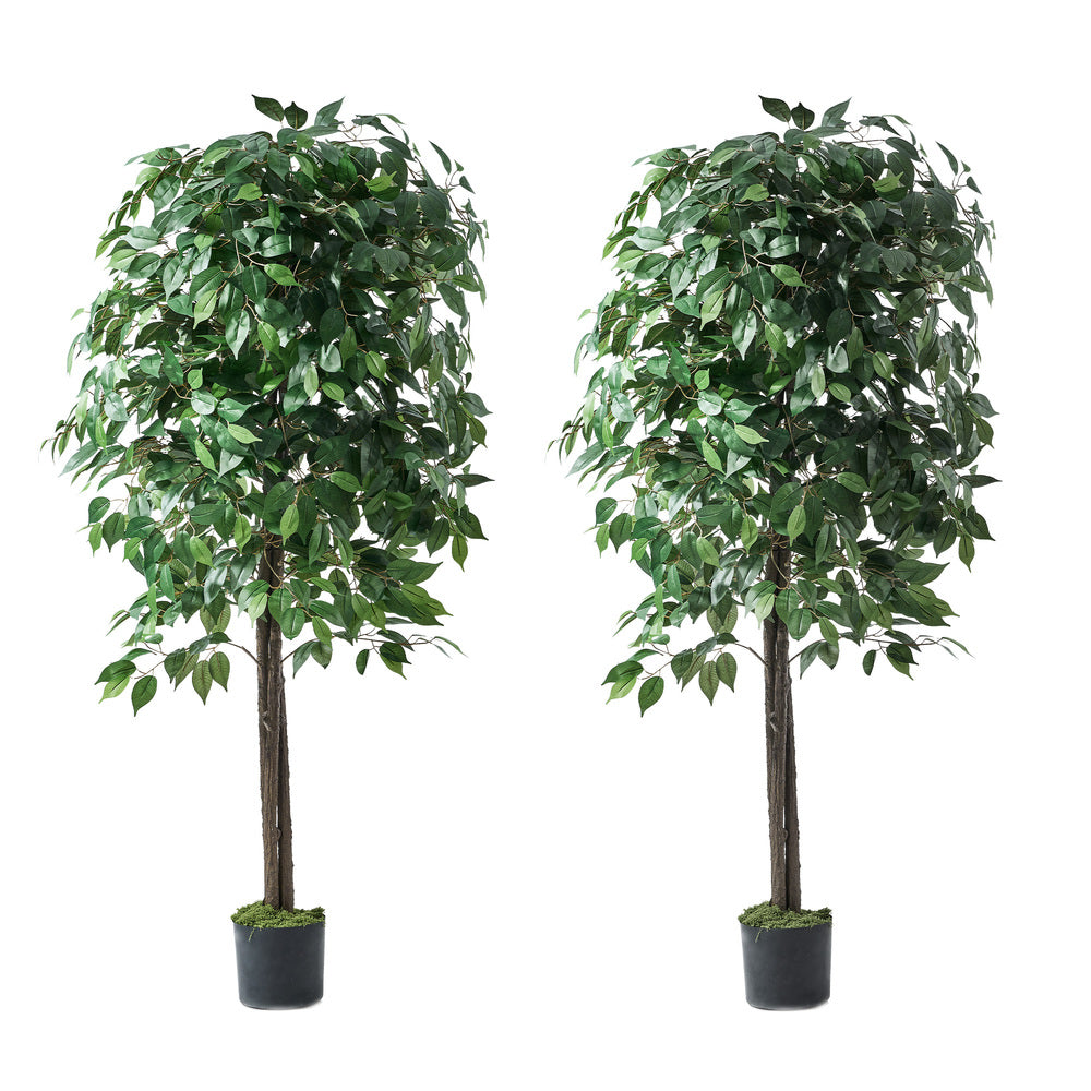 Livsip 2x Artificial Ficus Tree Faux Potted Plants 180cm-Faux Plant-PEROZ Accessories