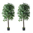 Livsip 2x Artificial Ficus Tree Faux Potted Plants 180cm-Faux Plant-PEROZ Accessories