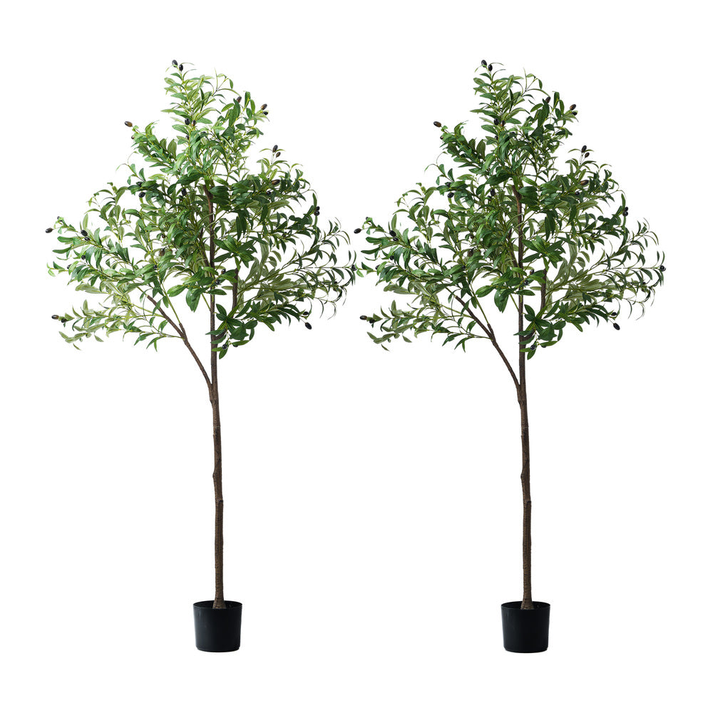 Livsip 2x Artificial Olive Tree Faux Potted Plants 180cm-Faux Plant-PEROZ Accessories