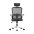 Oikiture Mesh Office Chair Executive Seat Racing Tilt DGY&WH-Office Chairs-PEROZ Accessories