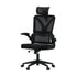 Oikiture Mesh Office Chair D-Shape Back Support Black-Office Chairs-PEROZ Accessories