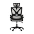 Oikiture Mesh Office Chair Adjustable Lumbar Support D-Shape BK & GY-Office Chair-PEROZ Accessories