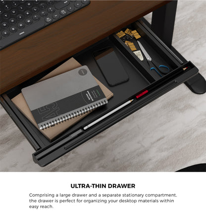 Oikiture 160cm Electric Standing Desk with Drawer Adjustable Black Walnut-Standing Desk-PEROZ Accessories