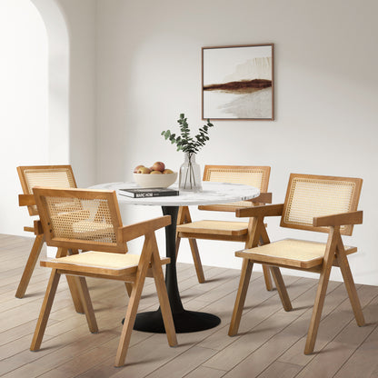 Oikiture 2x Dining Chairs Rattan Chair Wooden Walnut-Dining Chair-PEROZ Accessories