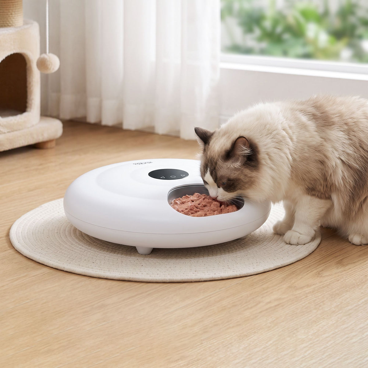 i.Pet Automatic Cat Feeder Wet &amp; Dry Food 6 Compartments Per 150ml WiFi White-Pet Care > Cat Supplies > Cat Bowls, Feeders &amp; Waterers-PEROZ Accessories