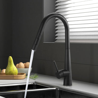Welba Kitchen Mixer Tap Pull Out Faucet 2-Mode Swivel Black-Faucet-PEROZ Accessories