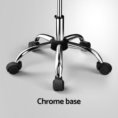 Artiss Salon Stool Swivel Chair Backrest Chairs-Furniture &gt; Bar Stools &amp; Chairs-PEROZ Accessories