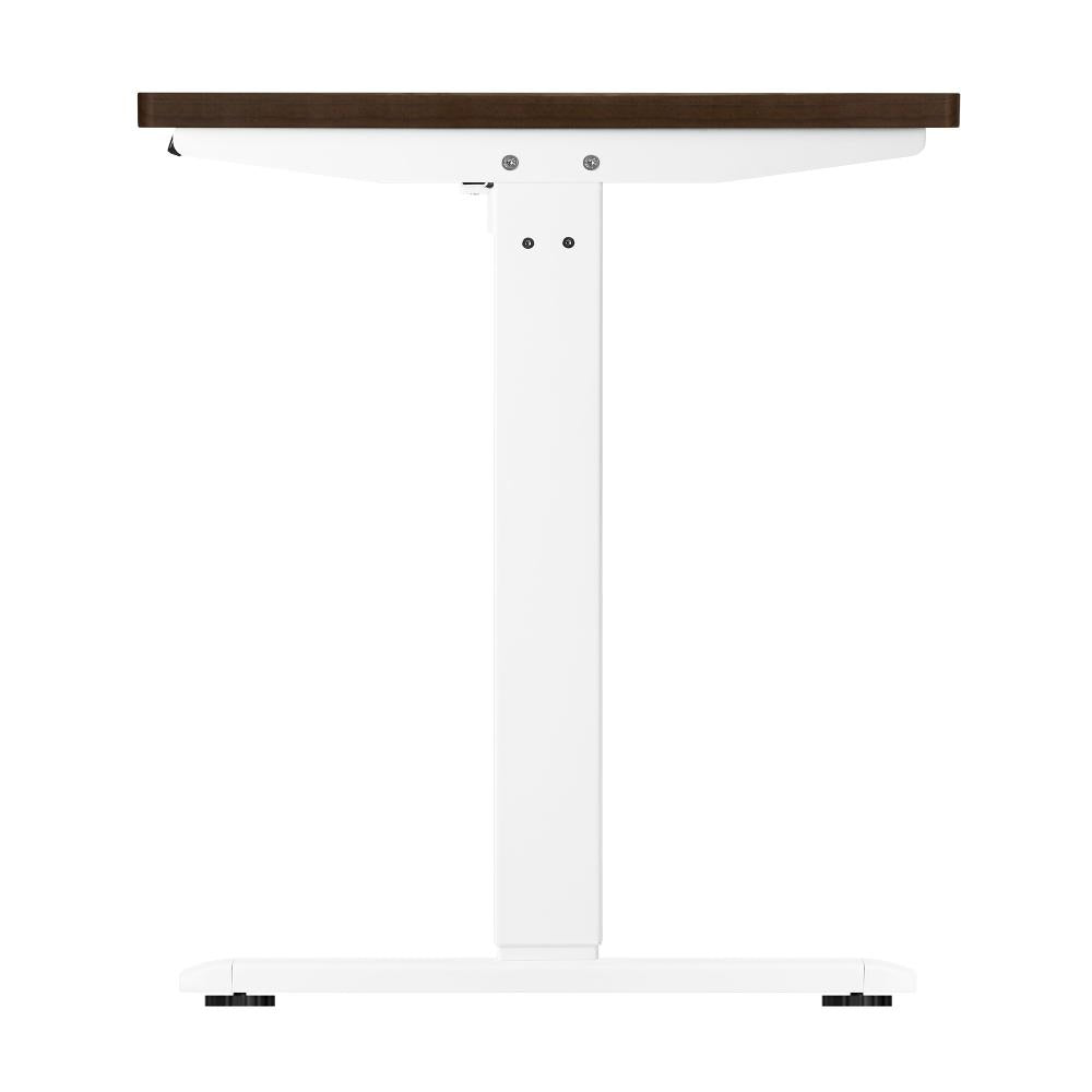 Oikiture Standing Desk Electric Height Adjustable Motorised Sit Stand Desk Rise - White/Walnut - 1500mm x 750mm-Standing Desks-PEROZ Accessories