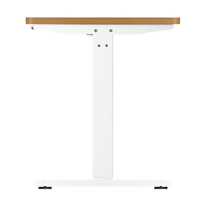 OIKITURE Sit Stand Desk Motorised Standing Desk Adjustable Table 160cm Lenght White and Oak-Office Desks-PEROZ Accessories