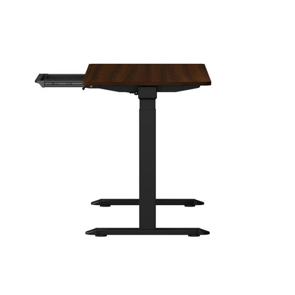 Oikiture 160cm Electric Standing Desk with Drawer Adjustable Black Walnut-Standing Desk-PEROZ Accessories