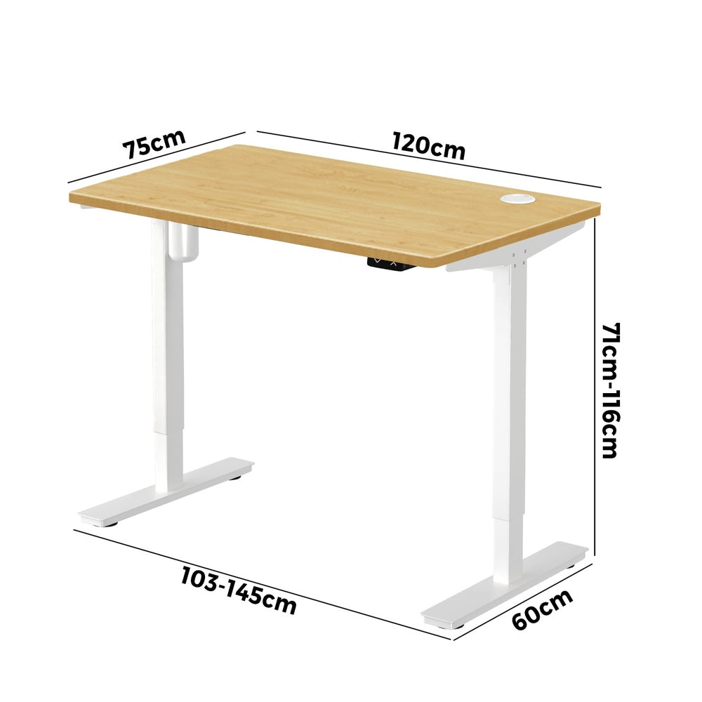 Oikiture Electric Standing Desk Single Motor Height Adjustable Sit Stand Table - 1200mm x 600mm-Office Desks-PEROZ Accessories