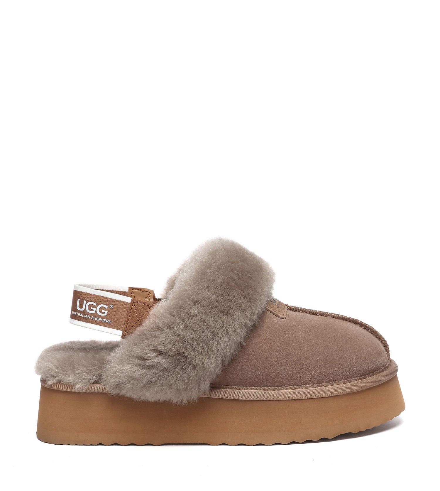 Australian Shepherd SP Suzie Platform UGG Boots - SPAS2065-PEROZ Accessories