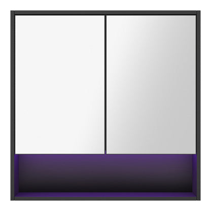 Welba Bathroom Mirror Cabinet LED Wall Storage 750x750mm Black-Bathroom Cabinet-PEROZ Accessories