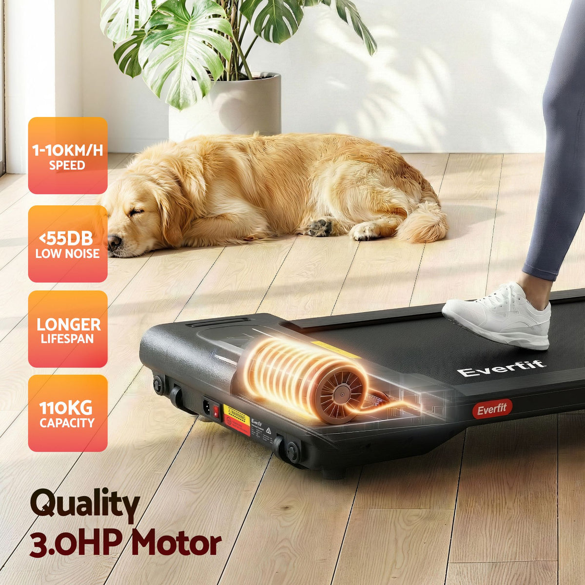 Everfit Walking Pad Treadmill 2 in 1 Foldable Under Desk for Home Gym With 38cm Belt With APP-Sports &amp; Fitness > Exercise, Gym &amp; Fitness > Treadmills-PEROZ Accessories