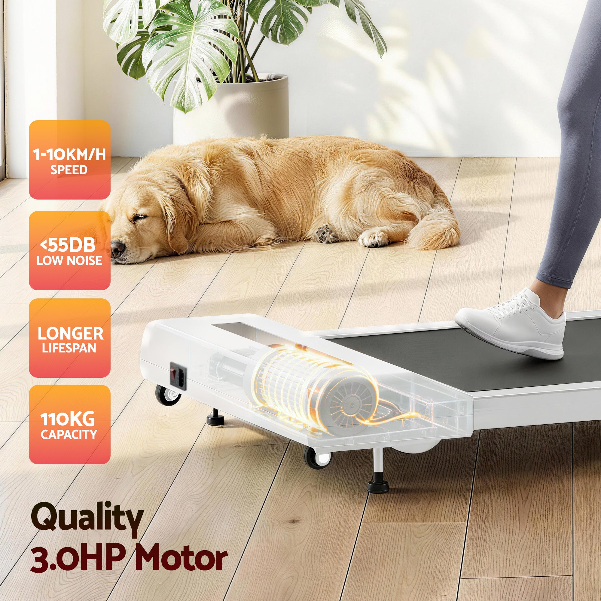 Everfit Treadmill Electric Walking Pad Incline Under Desk Home Gym 380mm White-Sports &amp; Fitness > Exercise, Gym &amp; Fitness > Treadmills-PEROZ Accessories