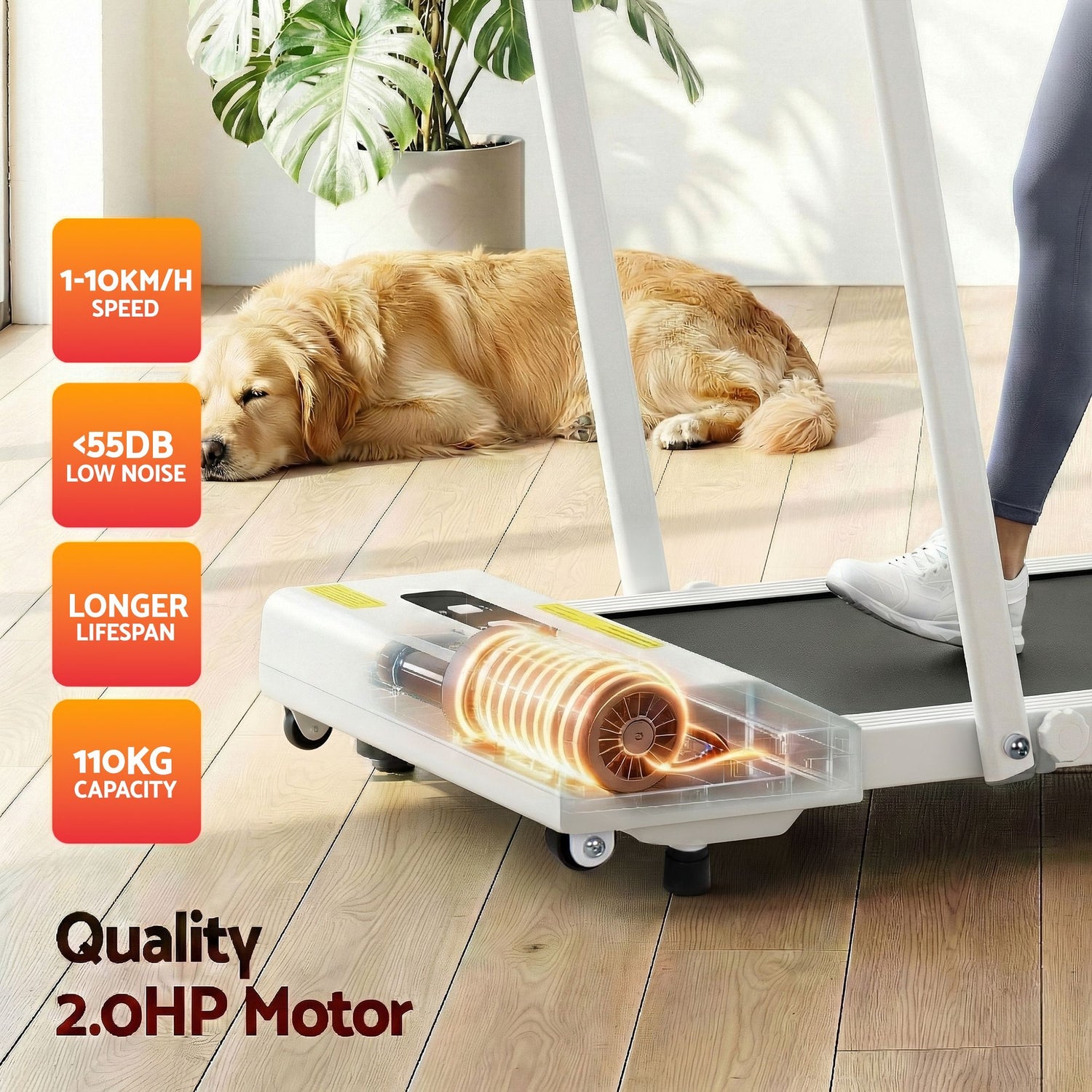 Everfit 2 in 1 Treadmill Electric Walking Pad Under Desk Home Gym Fitness 380mm White-Walking Pad-PEROZ Accessories