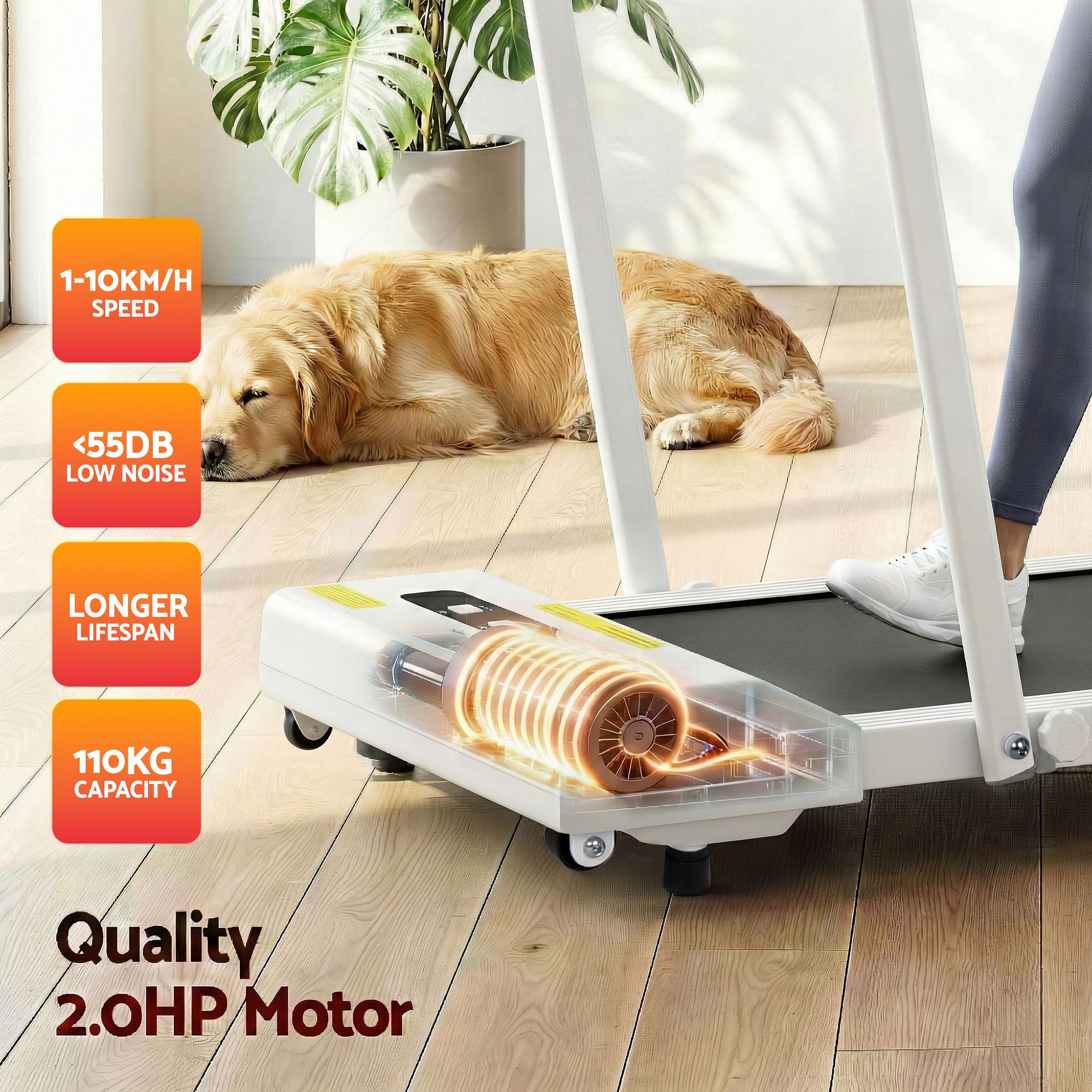 Everfit 2 in 1 Treadmill Electric Walking Pad Under Desk Home Gym Fitness 380mm White-Walking Pad-PEROZ Accessories