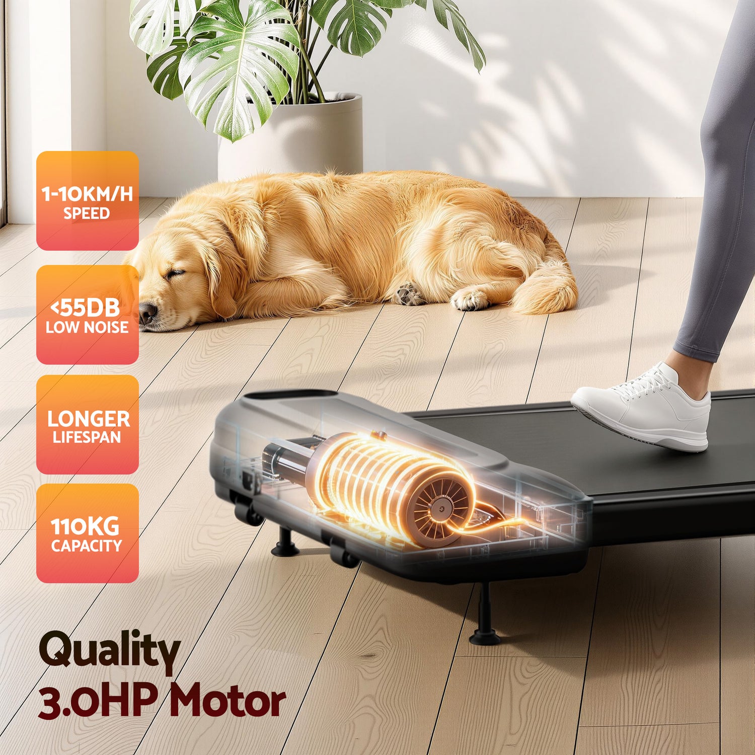 Everfit Treadmill Electric Walking Pad with Incline Under Desk Home Gym Black-Sports &amp; Fitness > Exercise, Gym &amp; Fitness > Treadmills-PEROZ Accessories