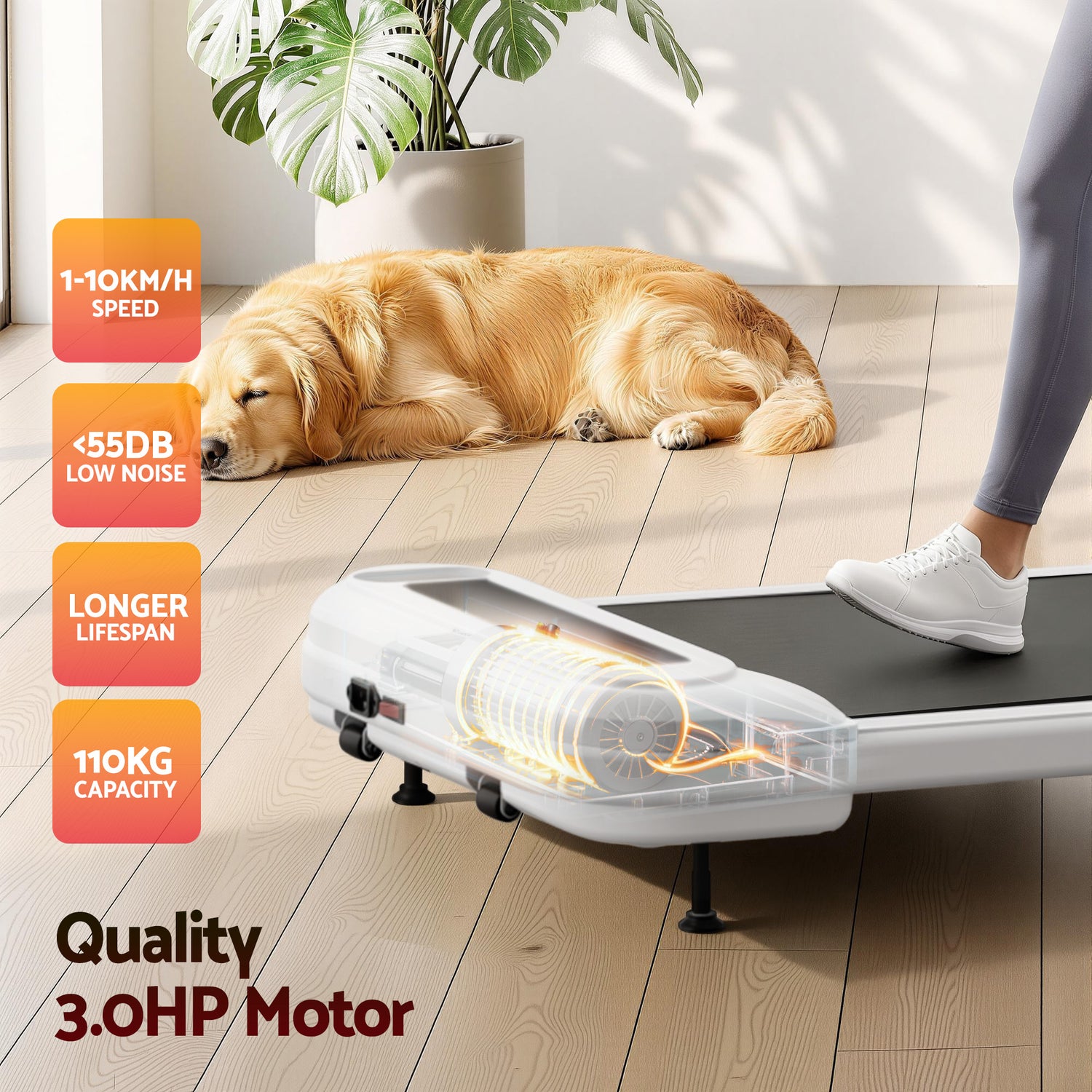Everfit Treadmill Electric Walking Pad with Incline Under Desk Home Gym White-Sports &amp; Fitness > Exercise, Gym &amp; Fitness > Treadmills-PEROZ Accessories
