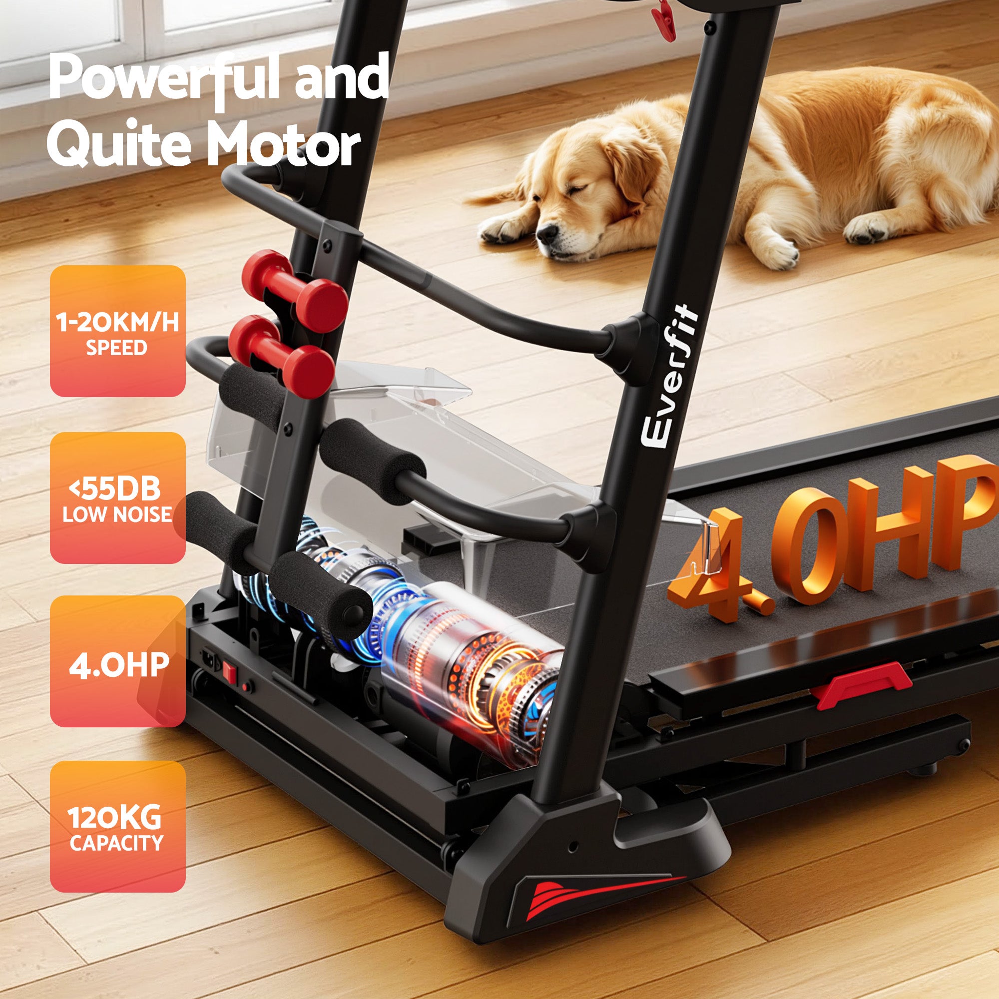 Everfit Treadmill Electric Home Gym Fitness Exercise Machine w/ Sit Up Bar 450mm-Sports &amp; Fitness > Exercise, Gym &amp; Fitness > Treadmills-PEROZ Accessories
