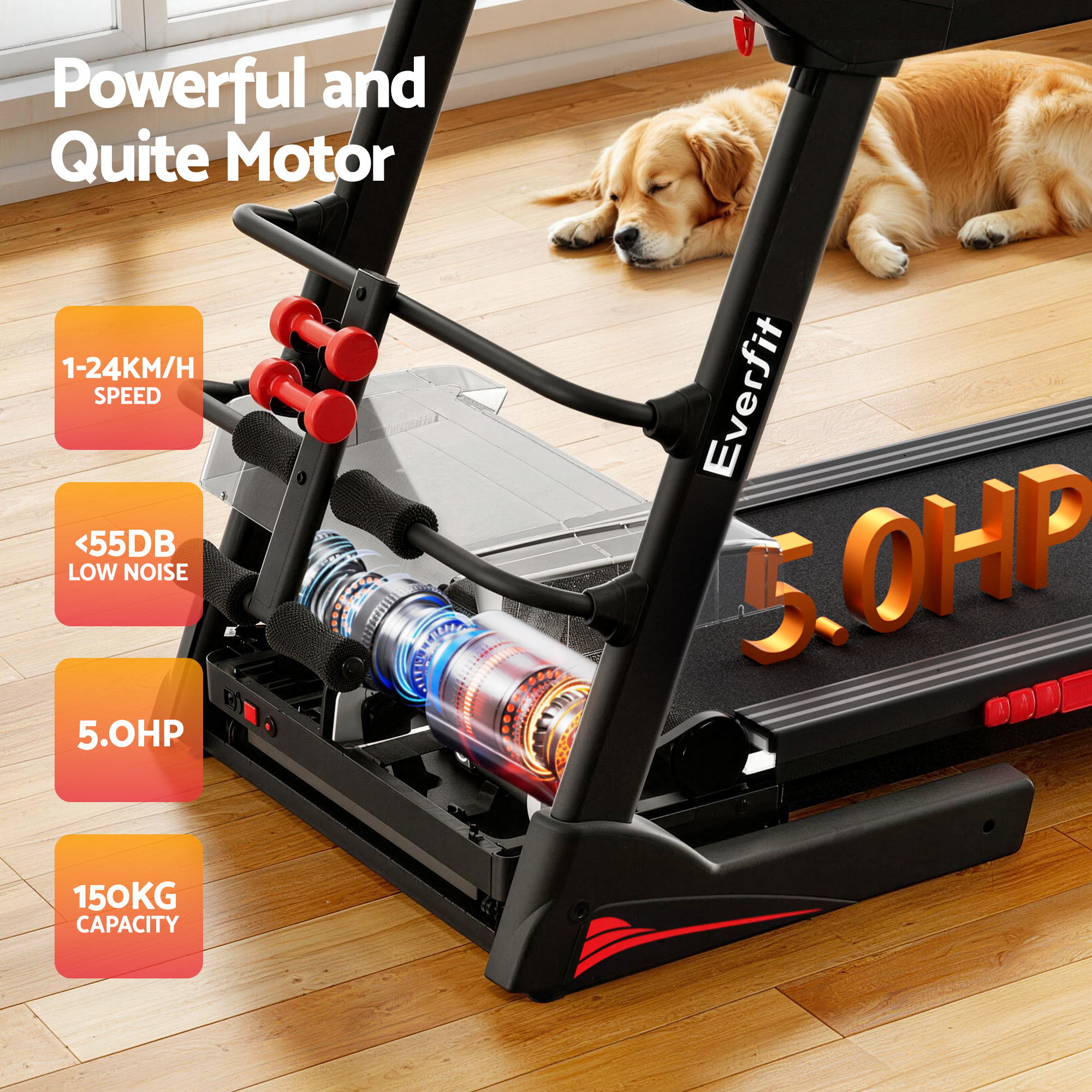 Everfit Treadmill Electric Home Gym Fitness Exercise Machine w/ Sit Up Bar 480mm-Sports &amp; Fitness > Exercise, Gym &amp; Fitness > Treadmills-PEROZ Accessories