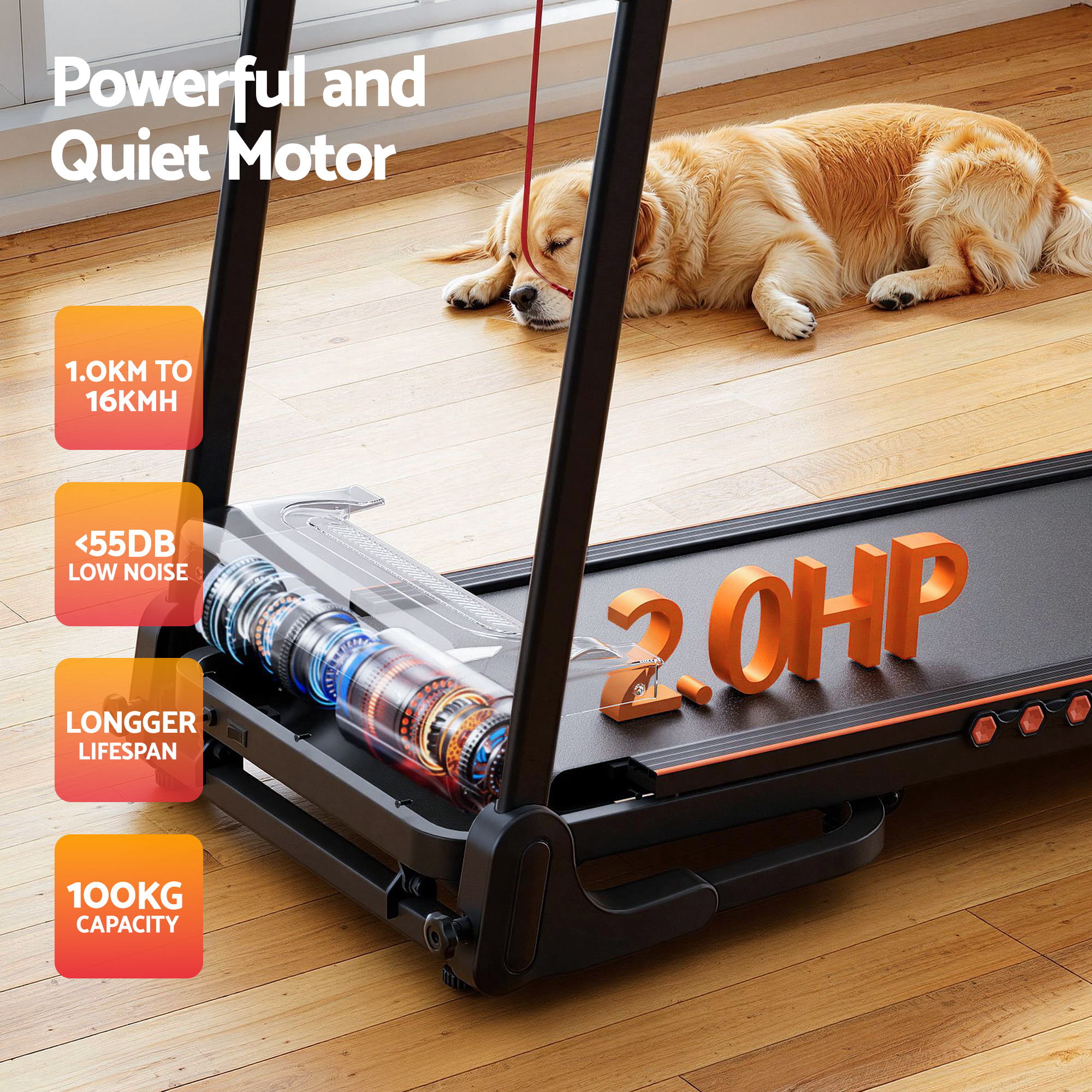 Everfit Treadmill Electric Home Gym Fitness Exercise Equipment Incline 390mm-Sports &amp; Fitness > Exercise, Gym &amp; Fitness > Treadmills-PEROZ Accessories