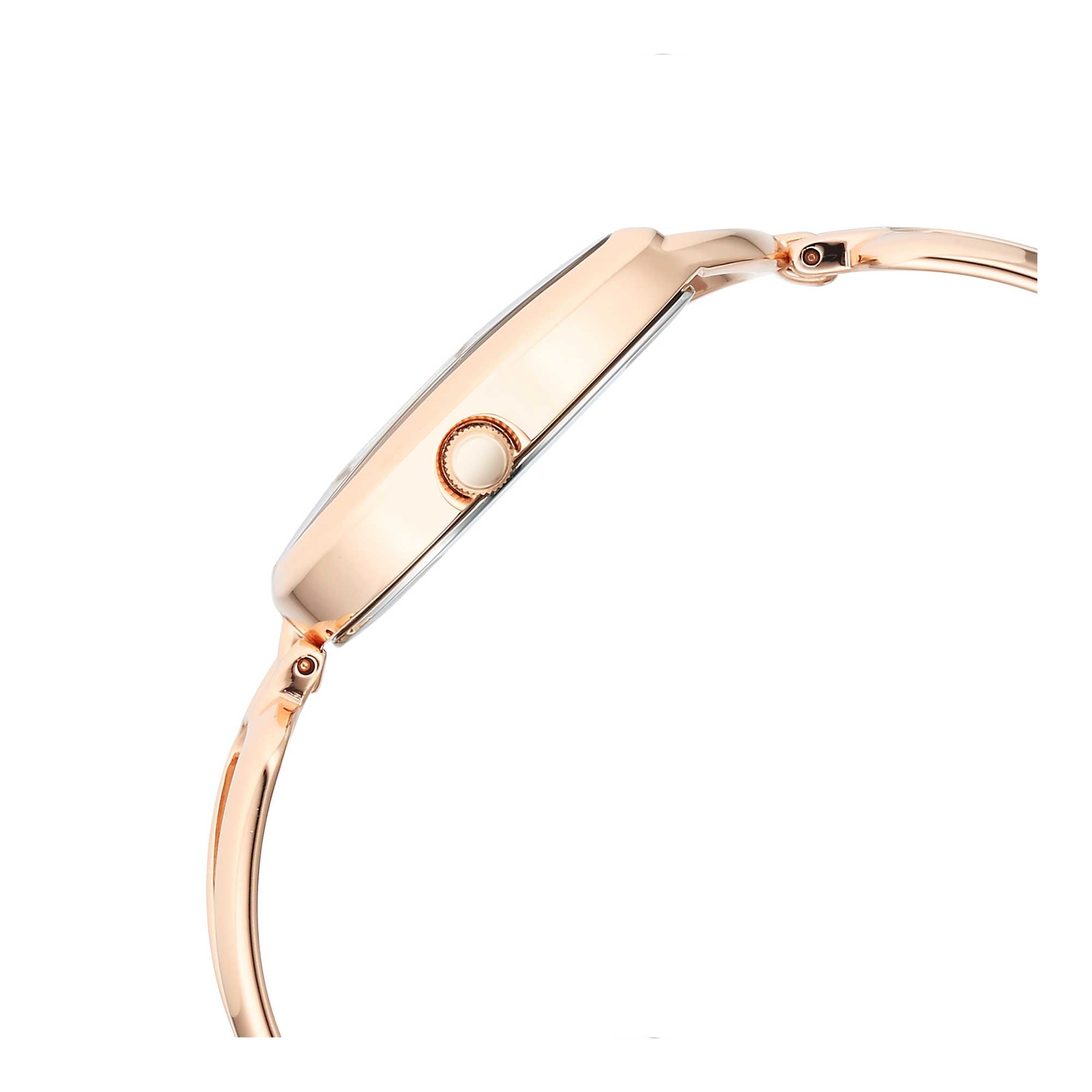 Titan Raga Chic Quartz Analogue Brown Dial Rose Gold Metal Strap Watch for Women-PEROZ Accessories