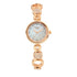 Titan Raga Mother of Pearl Dial Women Watch With Metal Strap for Women-PEROZ Accessories