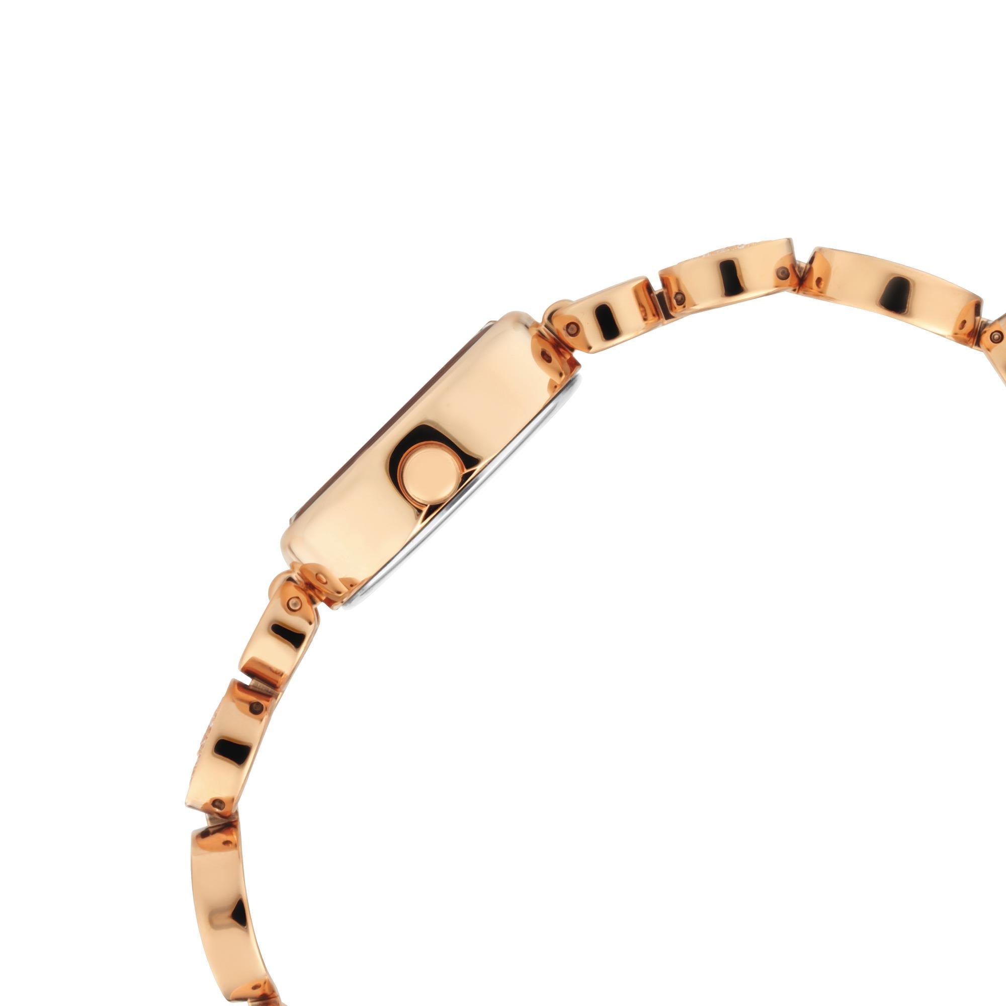 Titan Raga Mother of Pearl Dial Women Watch With Metal Strap for Women-PEROZ Accessories