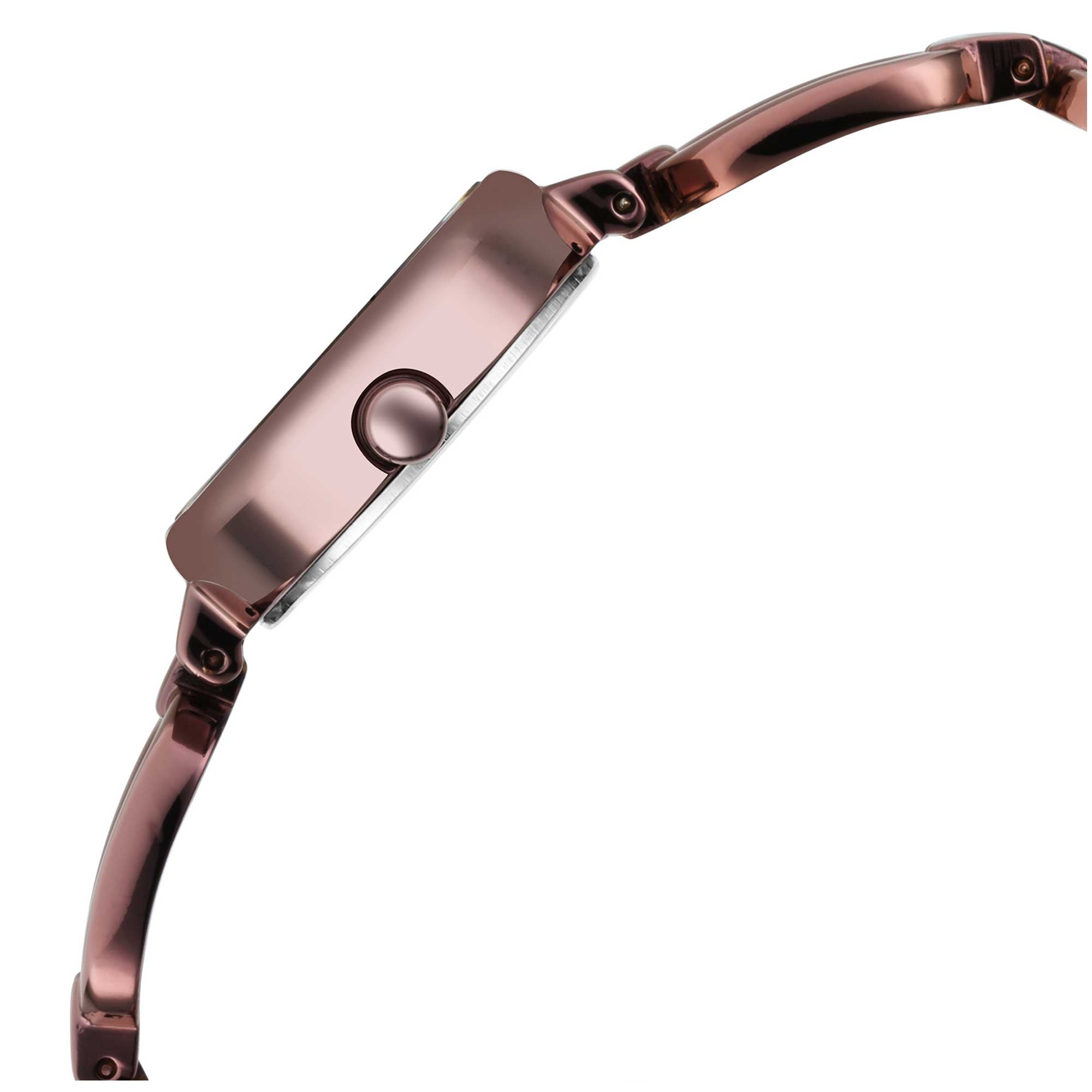 Titan Raga Viva Brown Dial Analogue Metal Strap Watch for Women-PEROZ Accessories