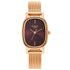Titan Raga Viva Brown Dial Analogue Stainless Steel Strap Watch for Women-PEROZ Accessories