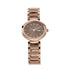 Titan Raga Viva Brown Dial Analogue with Day and Date Metal Strap Watch for Women-PEROZ Accessories
