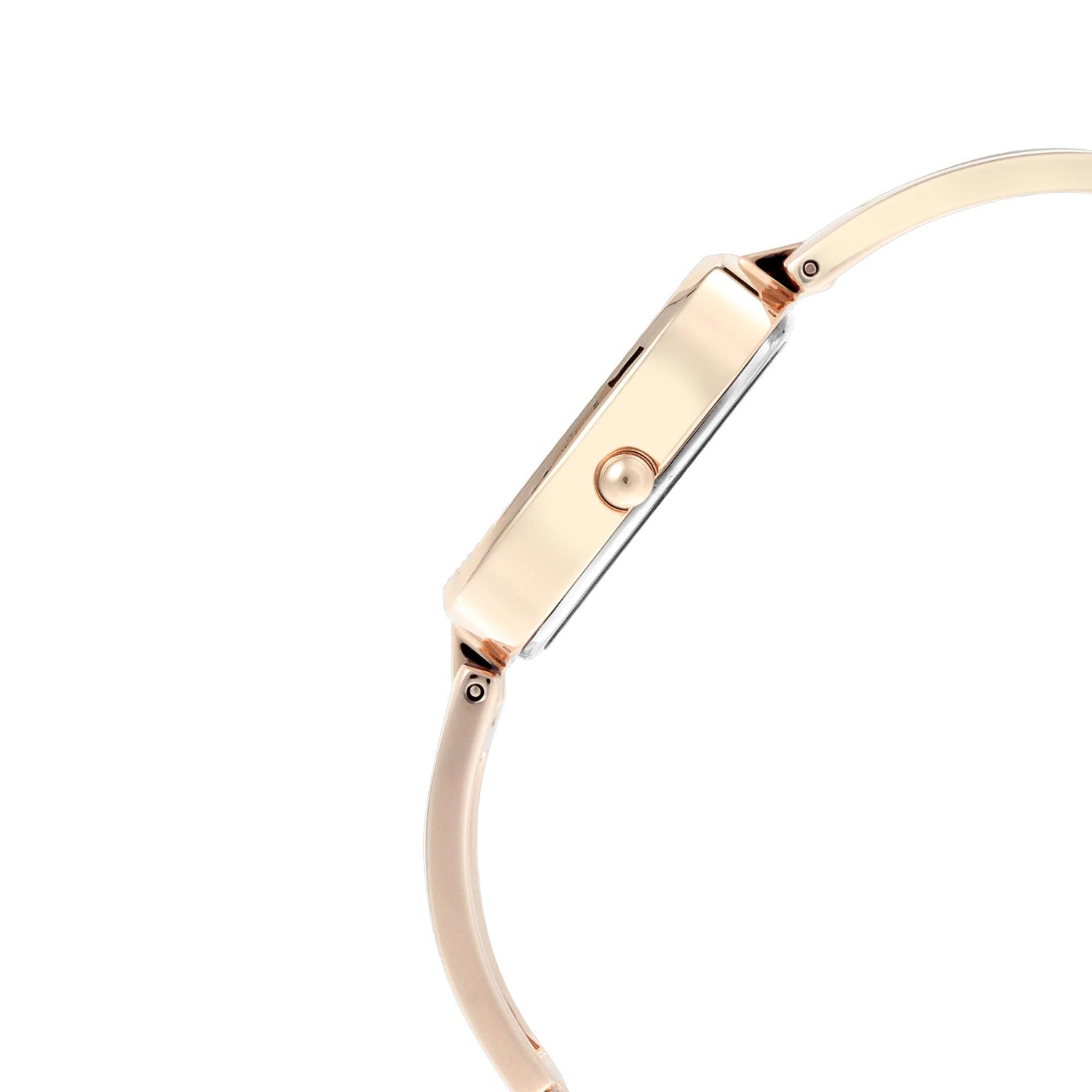 Titan Raga Viva Grey Dial Analogue Rose Gold Metal Strap watch for Women-PEROZ Accessories