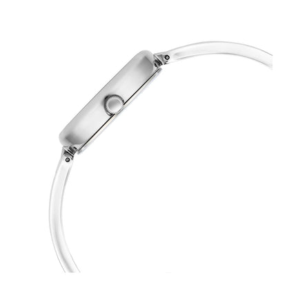 Titan Raga Viva Silver Dial Metal Strap Watch for Women-PEROZ Accessories