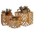 Swishmas Set of 3 Christmas Gift Boxes Display With Lights in Champagne and Gold-Occasions > Christmas > Christmas Decorations-PEROZ Accessories