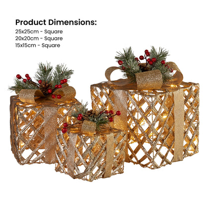 Swishmas Set of 3 Christmas Gift Boxes Display With Lights in Champagne and Gold-Occasions &gt; Christmas &gt; Christmas Decorations-PEROZ Accessories