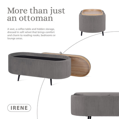 Coffee Table Storage Ottoman - Velvet Padded Blanket Box Bench IRENE GREY-Furniture > Living Room > Ottomans &amp; Footstools-PEROZ Accessories