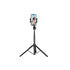 UGREEN 15062 Selfie Stick Tripod with Remote 1.5M-Audio & Video > Photography > Camera Accessories-PEROZ Accessories