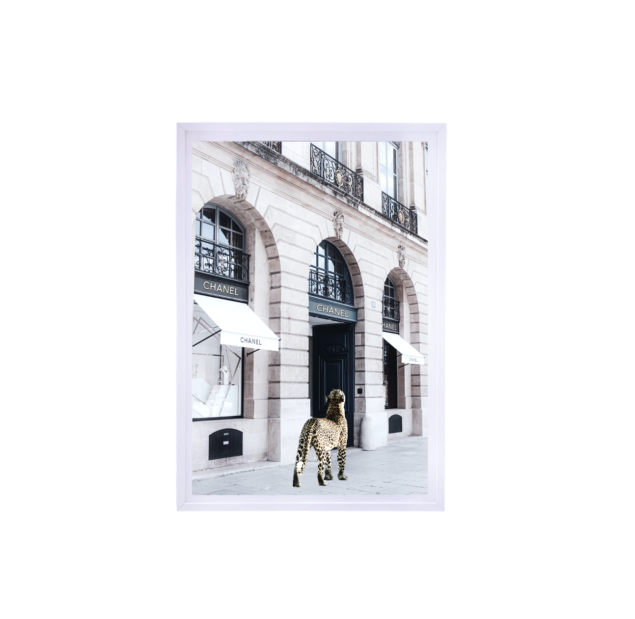 Interior Ave - Catwalk - 90cm x 60cm White Framed Artwork-Wall Art-PEROZ Accessories