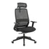 Carlie High Back Molded Foam Seat Ergonomic Office Chair In Black-Furniture > Office > Office & Desk Chairs-PEROZ Accessories