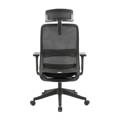 Carlie High Back Molded Foam Seat Ergonomic Office Chair In Black-Furniture &gt; Office &gt; Office &amp; Desk Chairs-PEROZ Accessories
