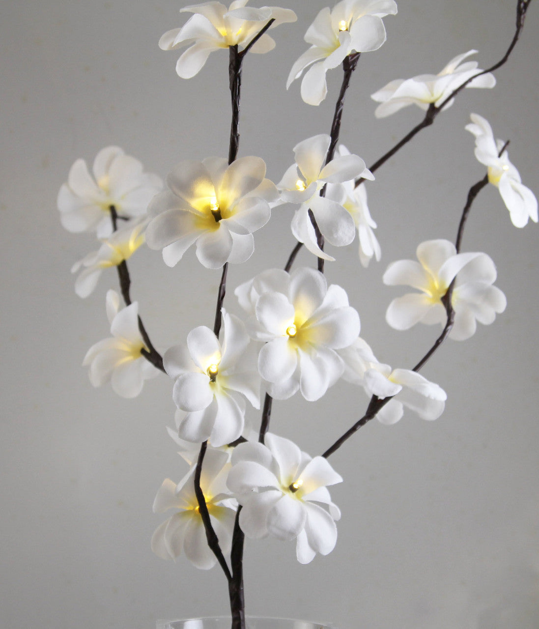 1 Set of 50cm H 20 LED White Frangipani Tree Branch Stem Fairy Light Wedding Event Party Function Table Vase Centrepiece Decoration-Home &amp; Garden &gt; Decor &gt; Vases &amp; Table Decor-PEROZ Accessories