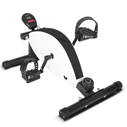 Lifespan Fitness Cyclestation 2-Sports &amp; Fitness &gt; Exercise, Gym &amp; Fitness &gt; Exercise Bikes-PEROZ Accessories