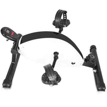 Lifespan Fitness Cyclestation 2-Sports &amp; Fitness &gt; Exercise, Gym &amp; Fitness &gt; Exercise Bikes-PEROZ Accessories