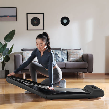 Lifespan Fitness WalkingPad - M2 Treadmill-Walking Pad-PEROZ Accessories