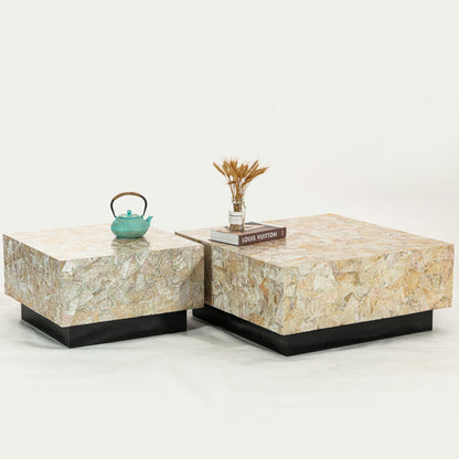 CLUSTER MOTHER OF PEARL HAND MADE COFFEE TABLE-Furniture > Living Room > Coffee Tables-PEROZ Accessories