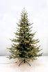 CHRISTMAS TREE GREY GREEN 7.5FT - X3457 (Box of 1pc)-Occasions > Christmas > Christmas Trees-PEROZ Accessories